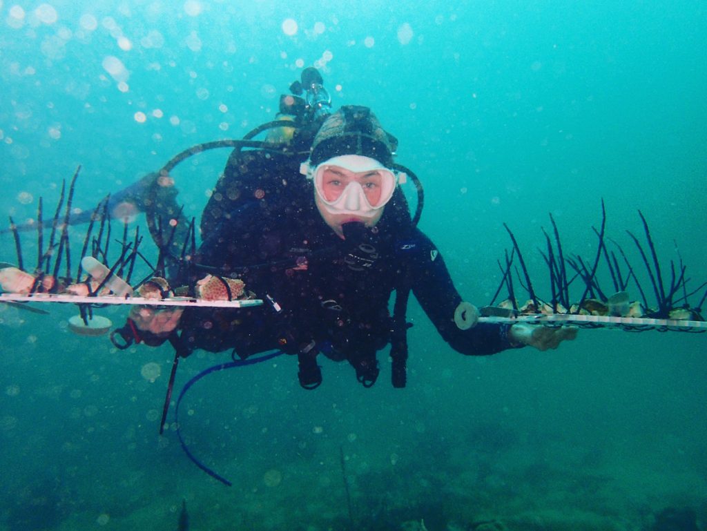 Monica Schul Publications